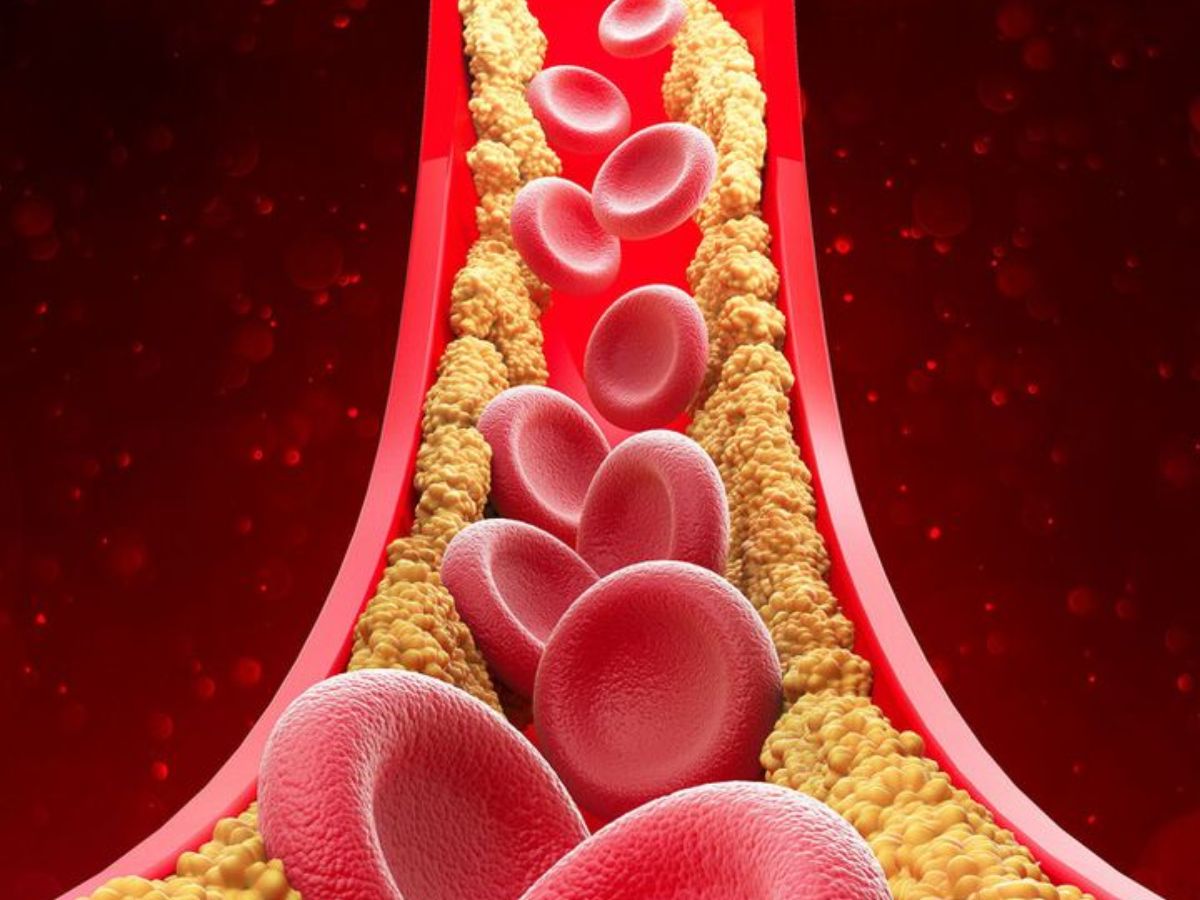 क्या आप भी चाहते हैं स्वस्थ दिल और पाचन? यह फल है आपका समाधान! - Photo Gallery