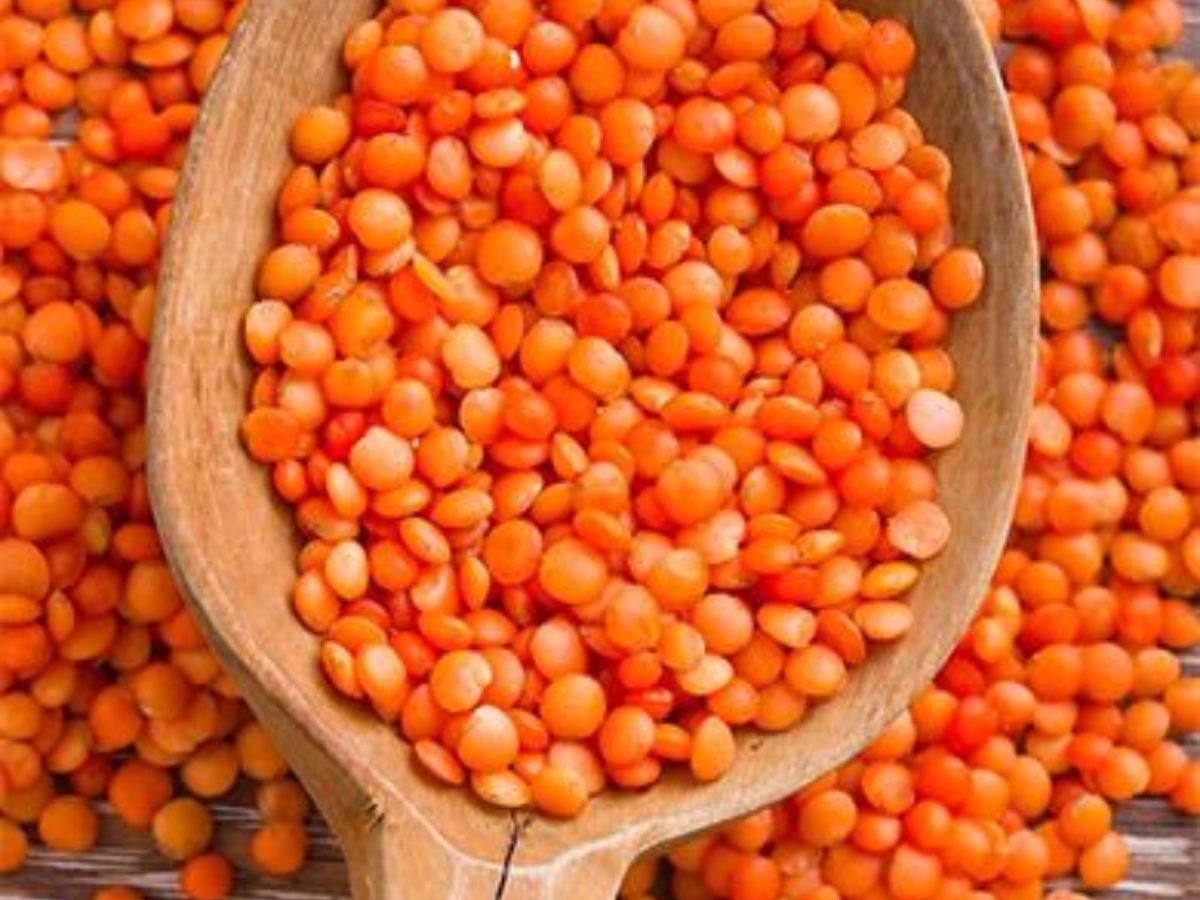 कौन-सी दाल रातभर भिगोनी चाहिए और कौन-सी कुछ घंटों के लिए? न्यूट्रिशनिस्ट ने बताया हेल्दी डाइजेशन का फॉर्मूला - Photo Gallery