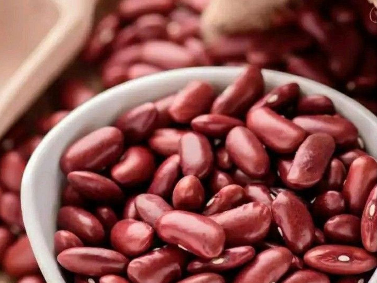 कौन-सी दाल रातभर भिगोनी चाहिए और कौन-सी कुछ घंटों के लिए? न्यूट्रिशनिस्ट ने बताया हेल्दी डाइजेशन का फॉर्मूला - Photo Gallery