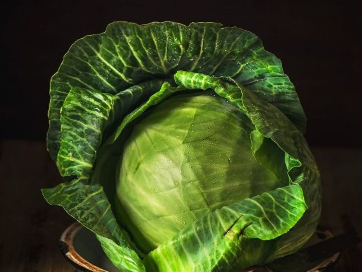 शुगर लेवल कंट्रोल करना है आसान? अपनाएँ इन सब्जियों का जादू - Photo Gallery