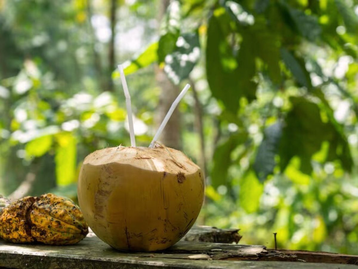 40 के बाद भी रखना है सेक्स लाइफ को शानदार! आज से ही खाना शुरू करें ये 5 चीजें - Photo Gallery