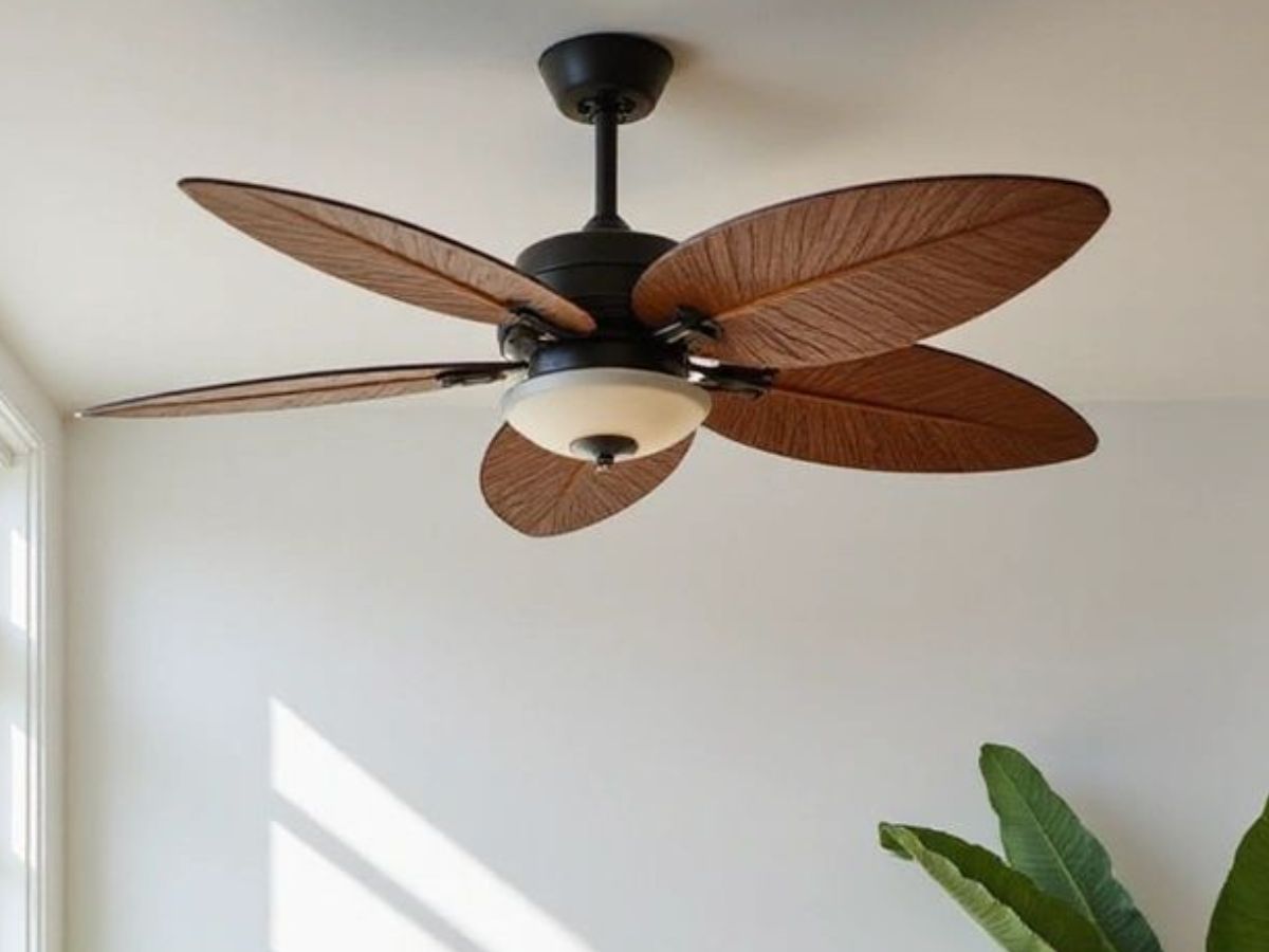 सालों पुरानी गंदगी? अब जाएगी मिनटों में, जानिए कैसे - Photo Gallery