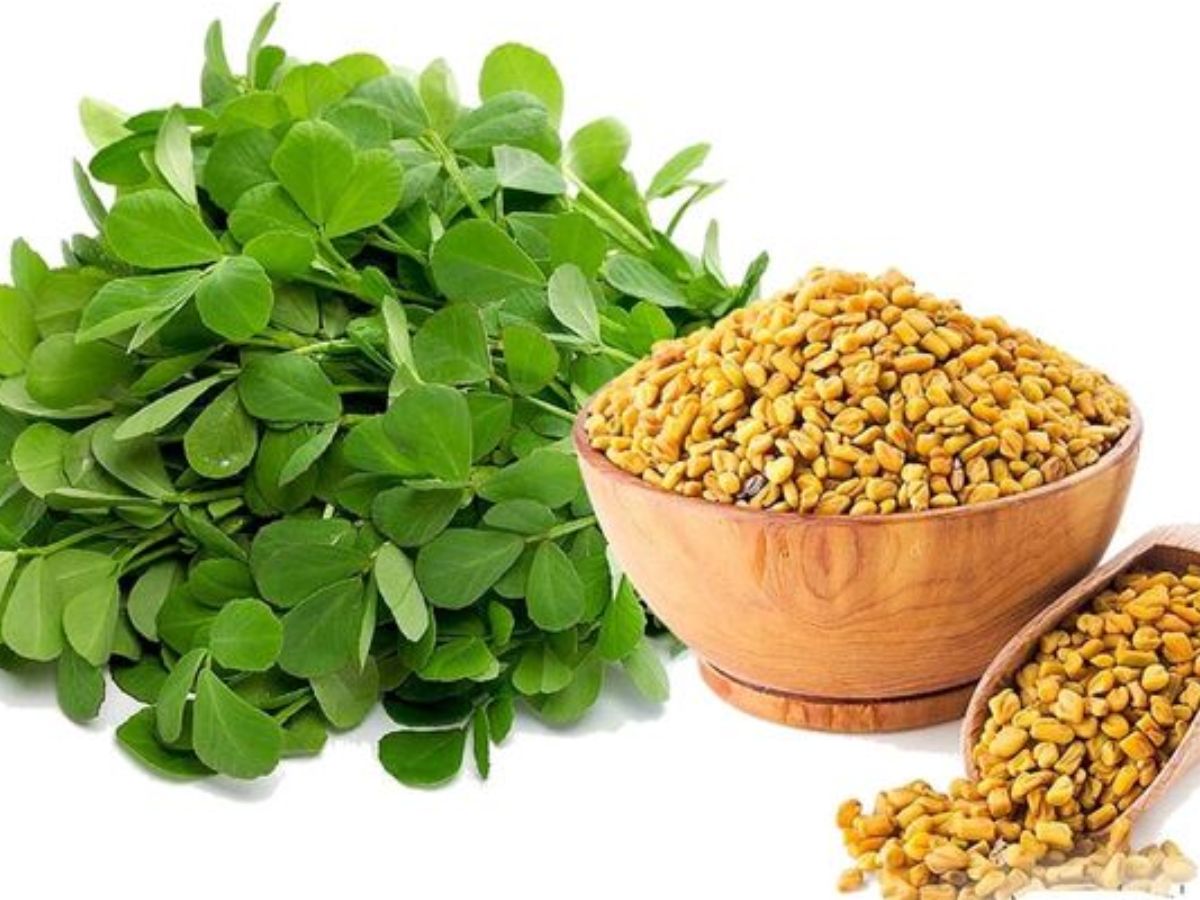 शुगर लेवल कंट्रोल करना है आसान? अपनाएँ इन सब्जियों का जादू - Photo Gallery