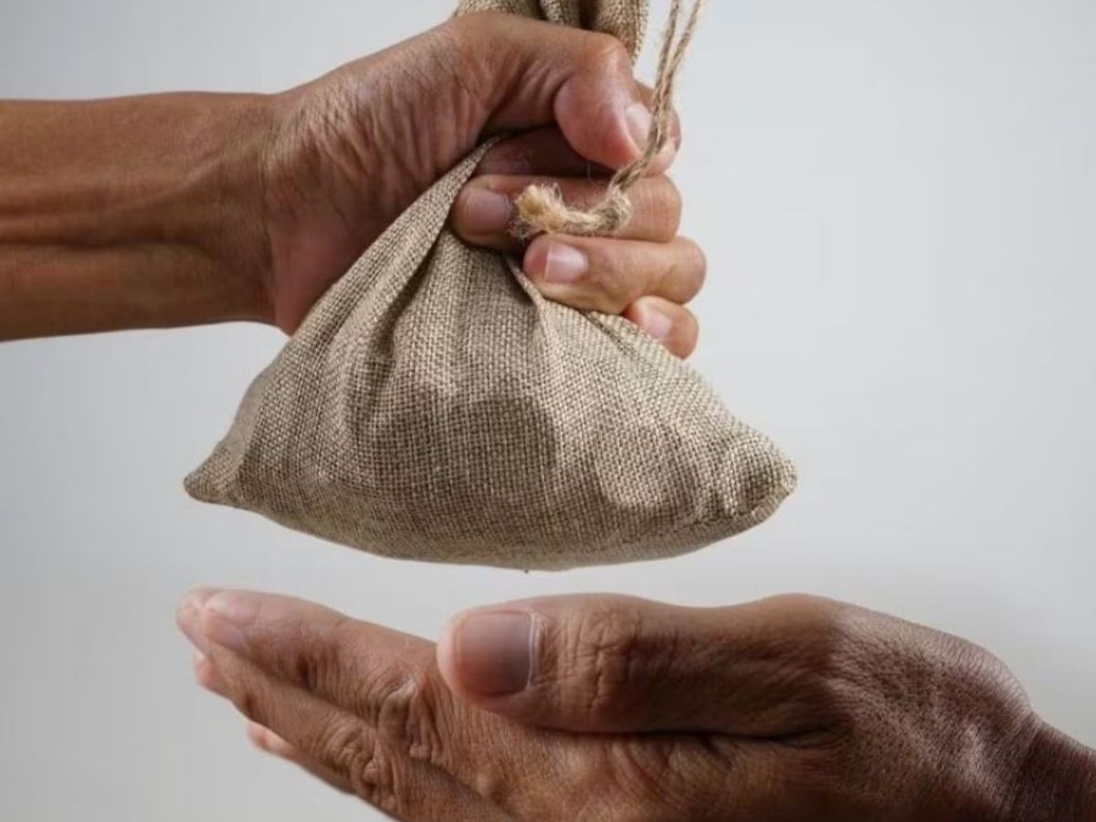 These Thing Donate on ninth day of Shardiya Navratri 2025 - Photo Gallery