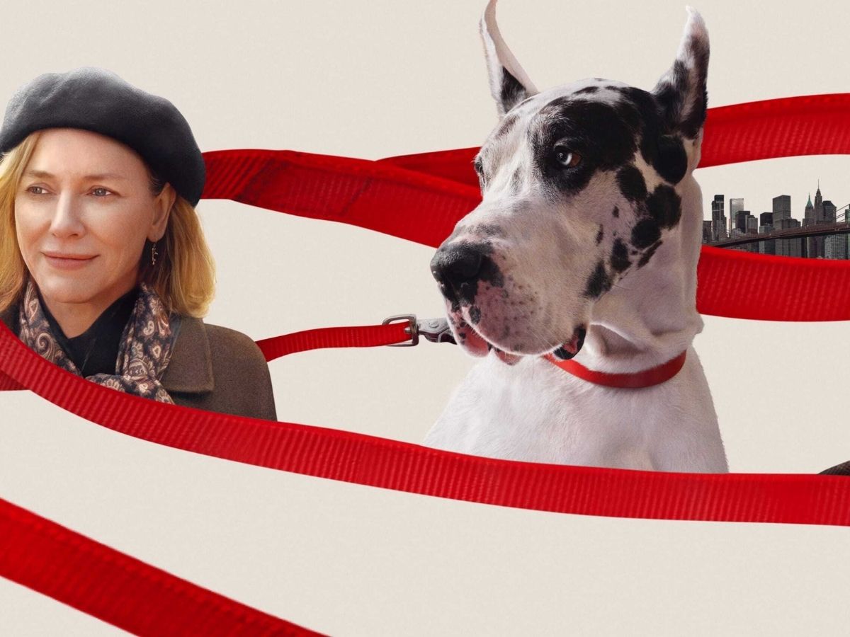 इस वीकेंड OTT पर मचेगा बवाल, इन नए शोज का ले सकते हैं खुलकर मजा; दोस्तों के साथ गुजारें कुछ यादगार पल - Photo Gallery