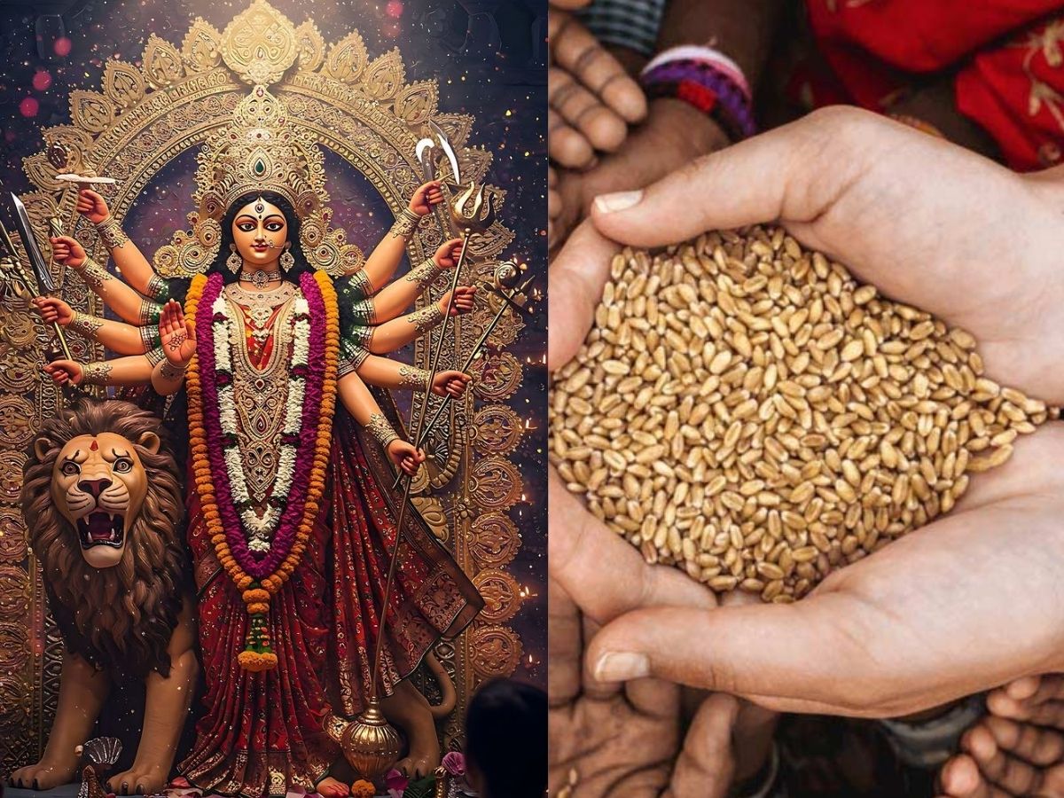 These Thing Donate on ninth day of Shardiya Navratri 2025 - Photo Gallery