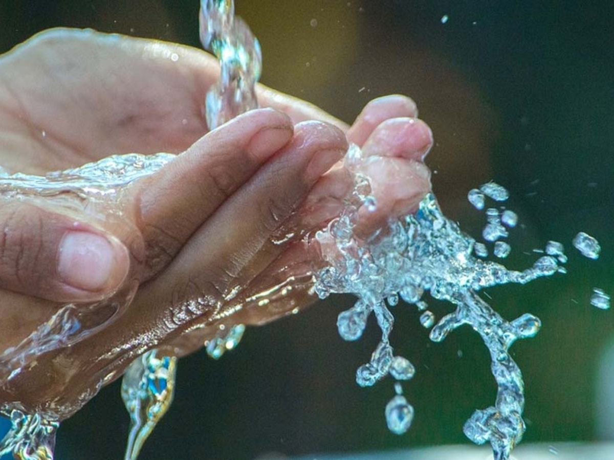 What is donated on the fifth day of Shardiya Navratri 2025? - Photo Gallery