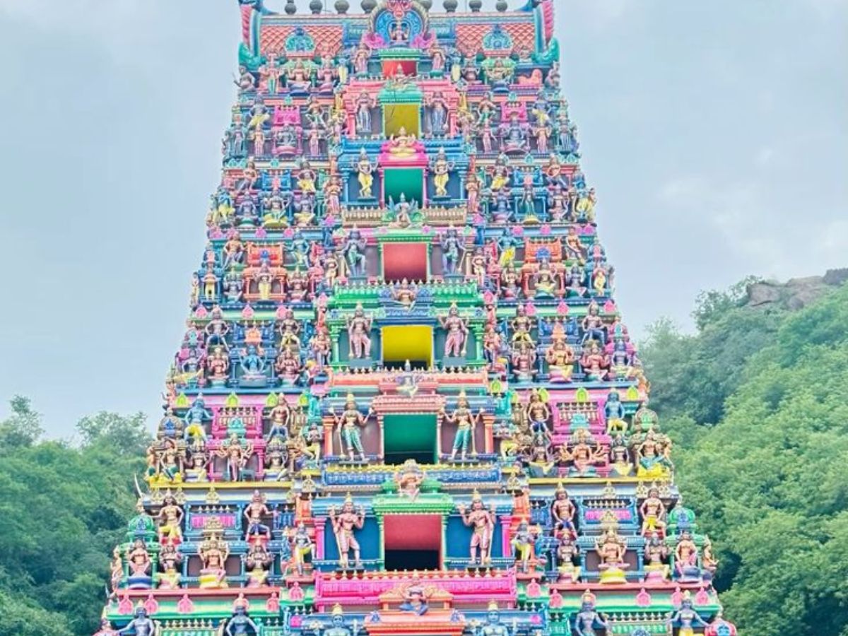 Navratri 2025: माँ दुर्गा के अलग-अलग रूपों के दर्शन करने के लिए इन मंदिरों में जरूर जाएँ - Photo Gallery