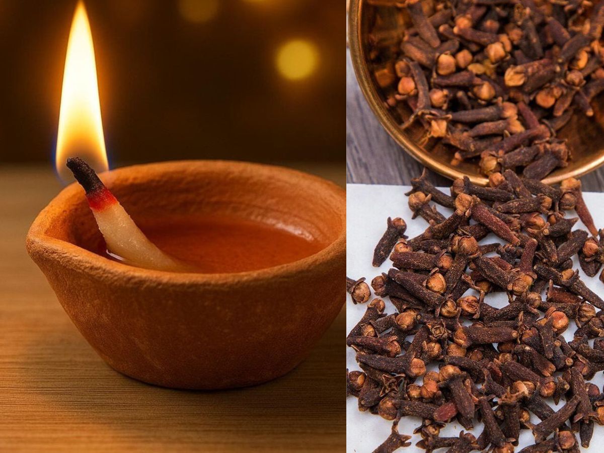 Rat Removal Tips: न जहर न ट्रैप, बस अपनाएं लौंग और दीए का उपाय, चूहे हो जाएंगे गायब - Photo Gallery