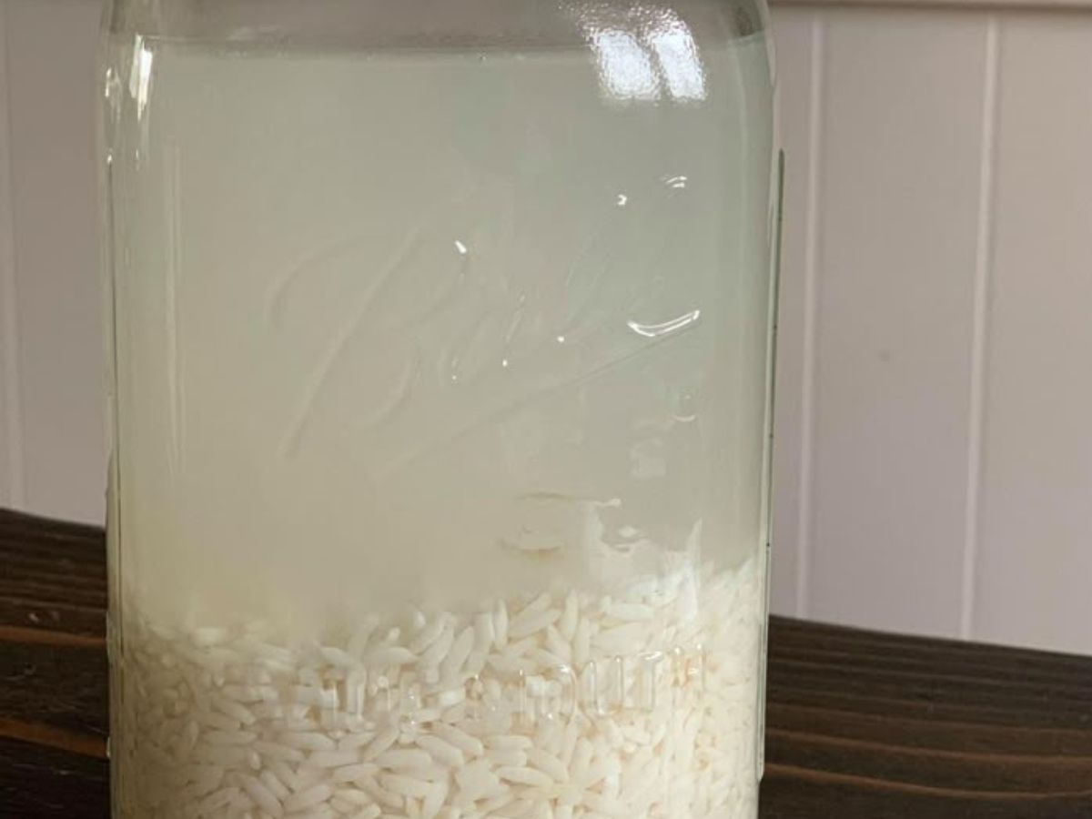 बिना खर्च किए पाएं कोरियन स्किन जैसी चमक, बस किचन से लेकर यह चीजें अपने चेहरे पर लगाए - Photo Gallery