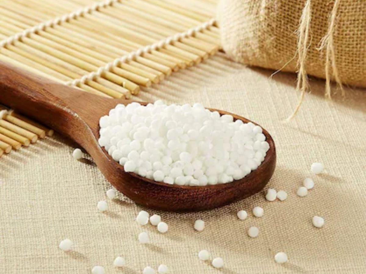 Navratri 2025 : हर नवरात्रि पर जिसकी डिमांड बढ़ती है, क्या आप जानते हैं कि वो साबूदाना कहां से आता है? - Photo Gallery