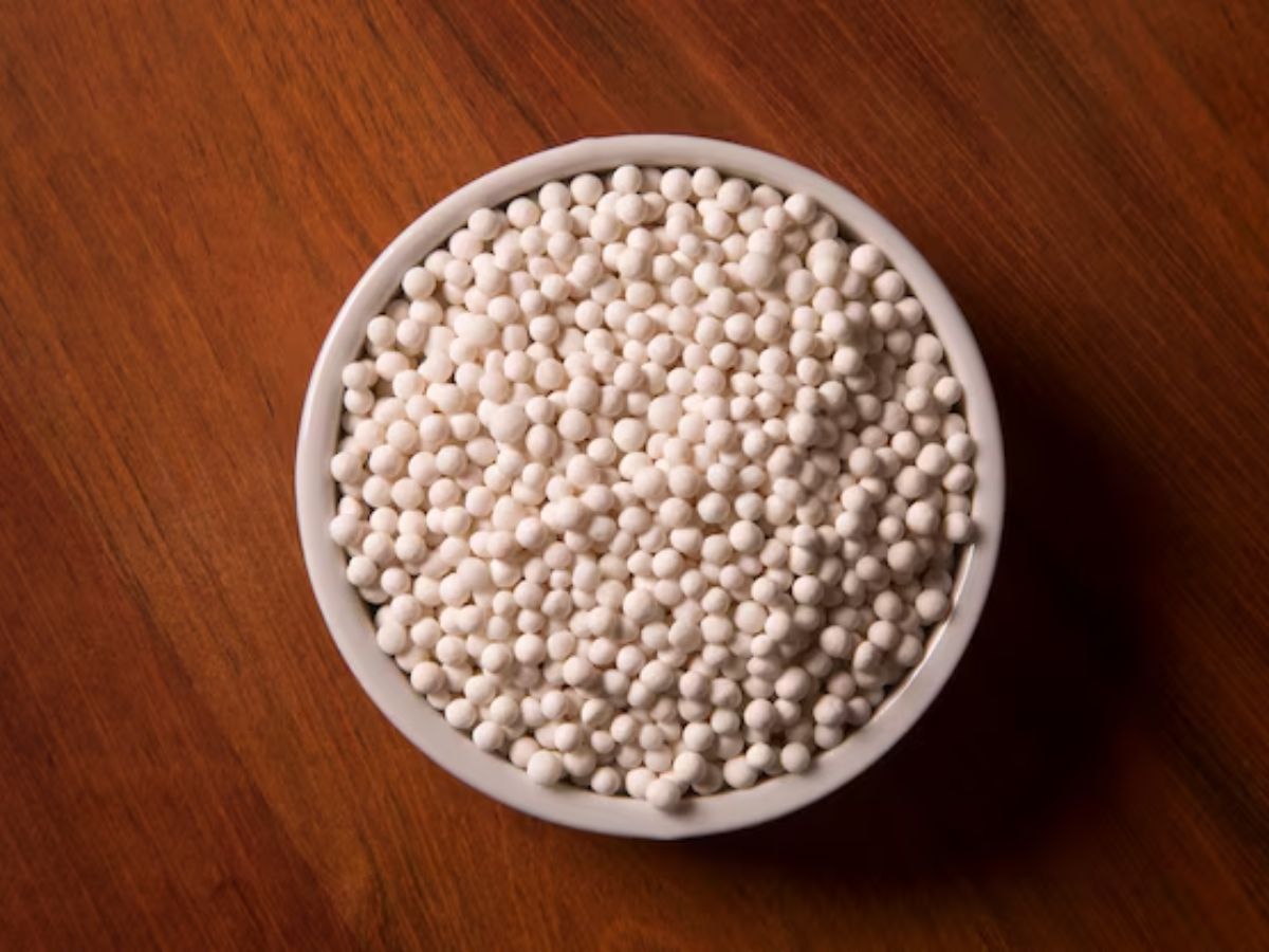 Navratri 2025 : हर नवरात्रि पर जिसकी डिमांड बढ़ती है, क्या आप जानते हैं कि वो साबूदाना कहां से आता है? - Photo Gallery