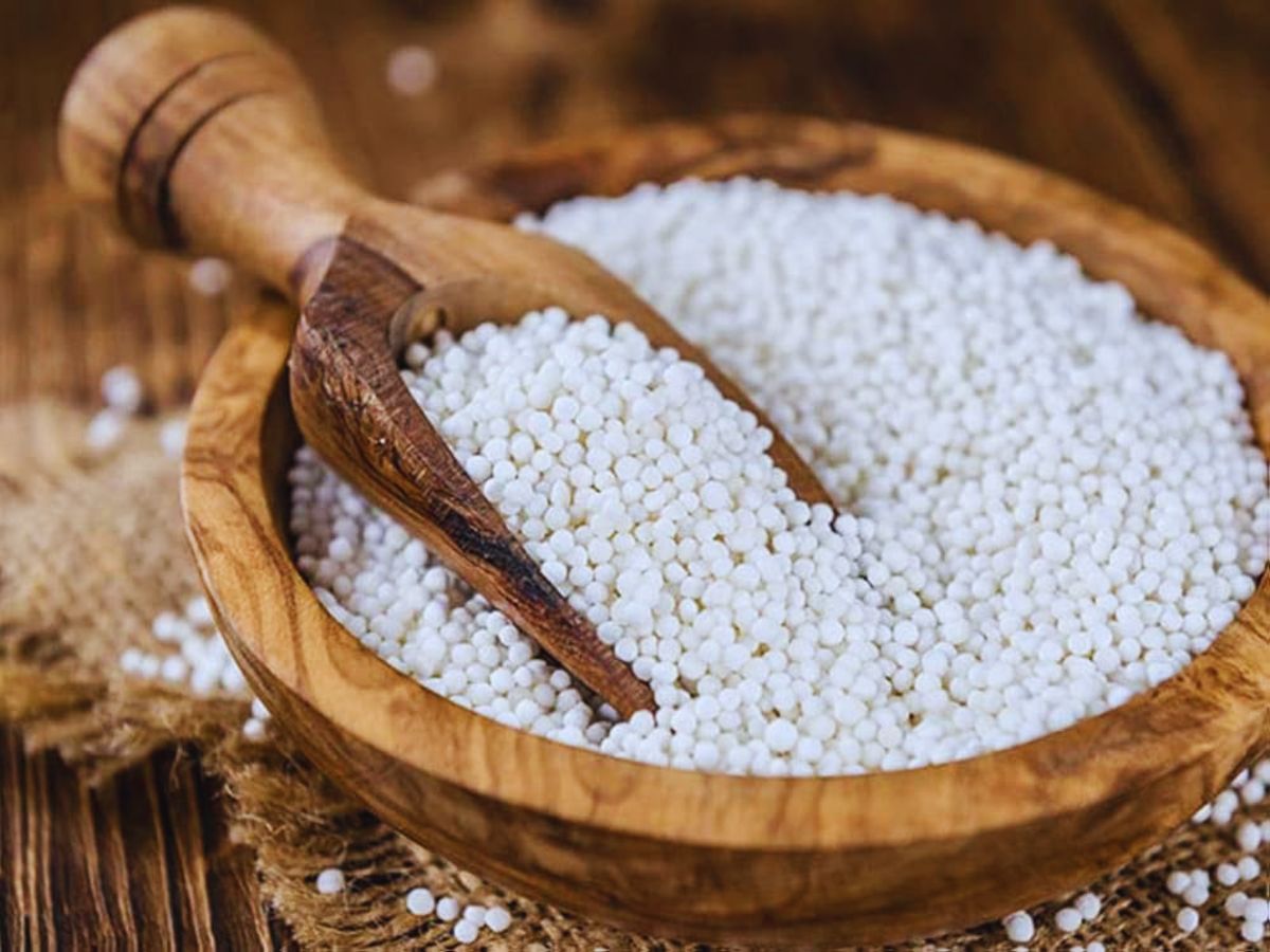 Navratri 2025 : हर नवरात्रि पर जिसकी डिमांड बढ़ती है, क्या आप जानते हैं कि वो साबूदाना कहां से आता है? - Photo Gallery