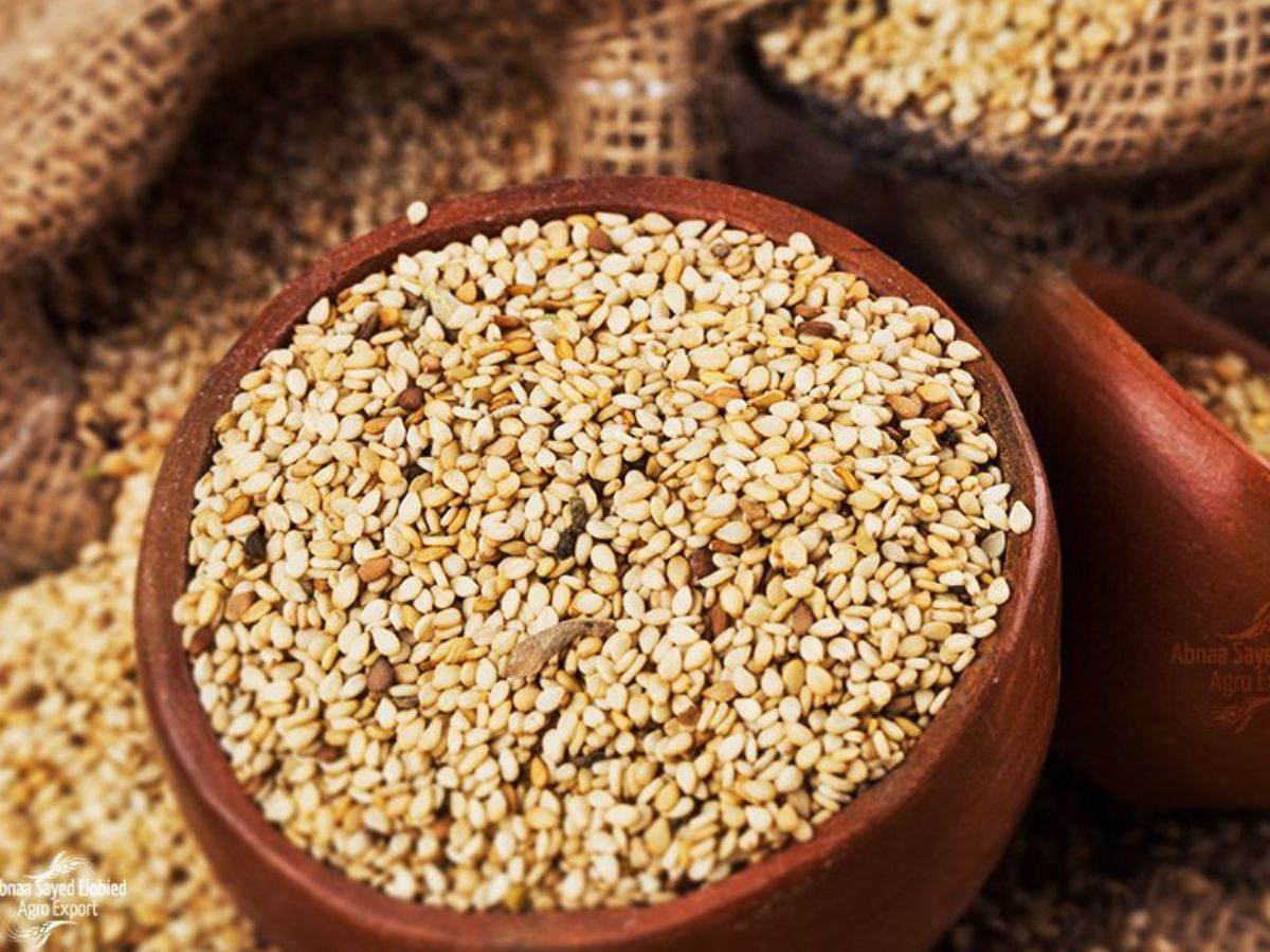 Navratri 2025:देवी को प्रसन्न करने के लिए 9 दिन का दान क्यों है खास - Photo Gallery