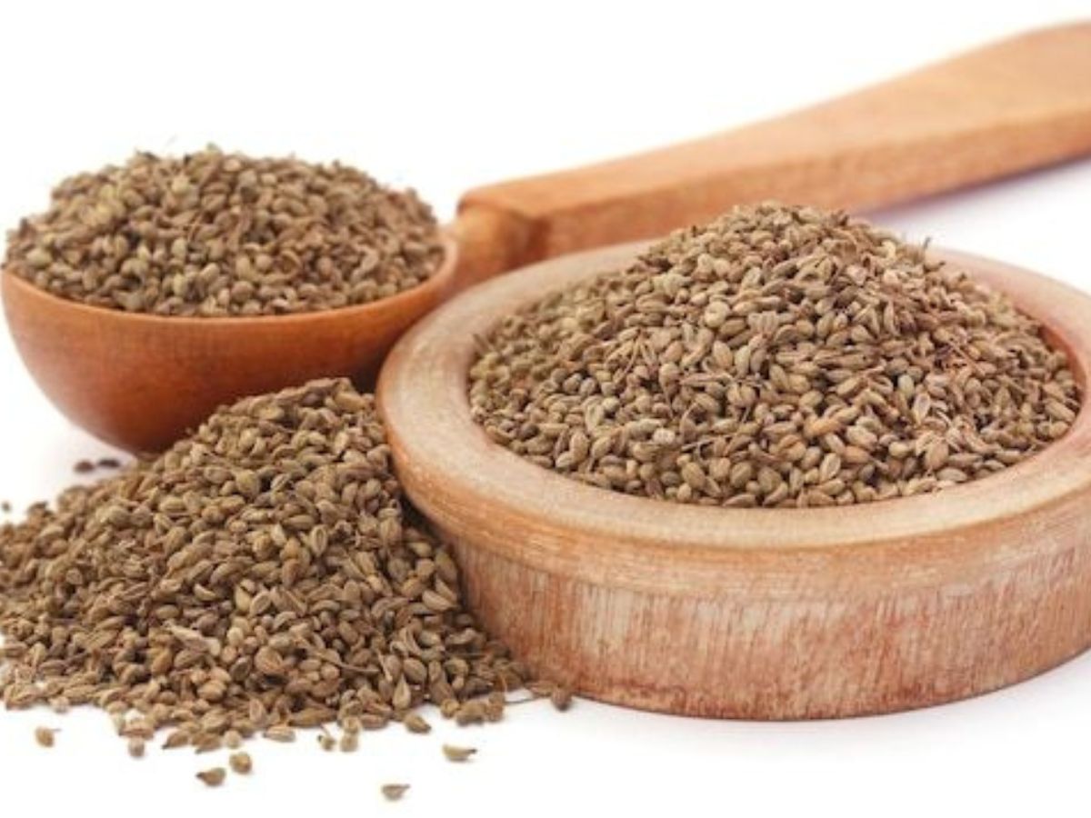 Rat Removal Tips: न जहर न ट्रैप, बस अपनाएं लौंग और दीए का उपाय, चूहे हो जाएंगे गायब - Photo Gallery