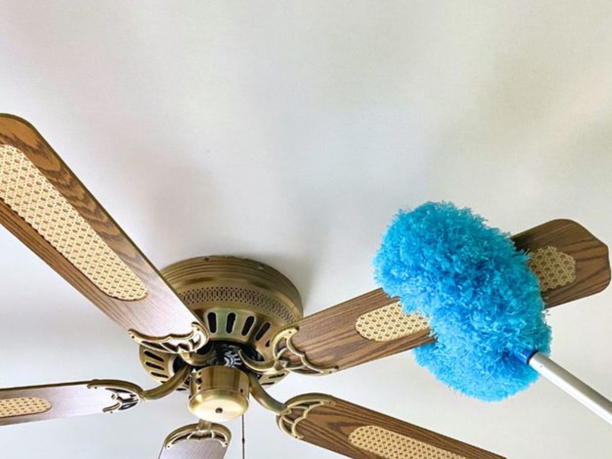 Make it a habit to clean daily - Photo Gallery