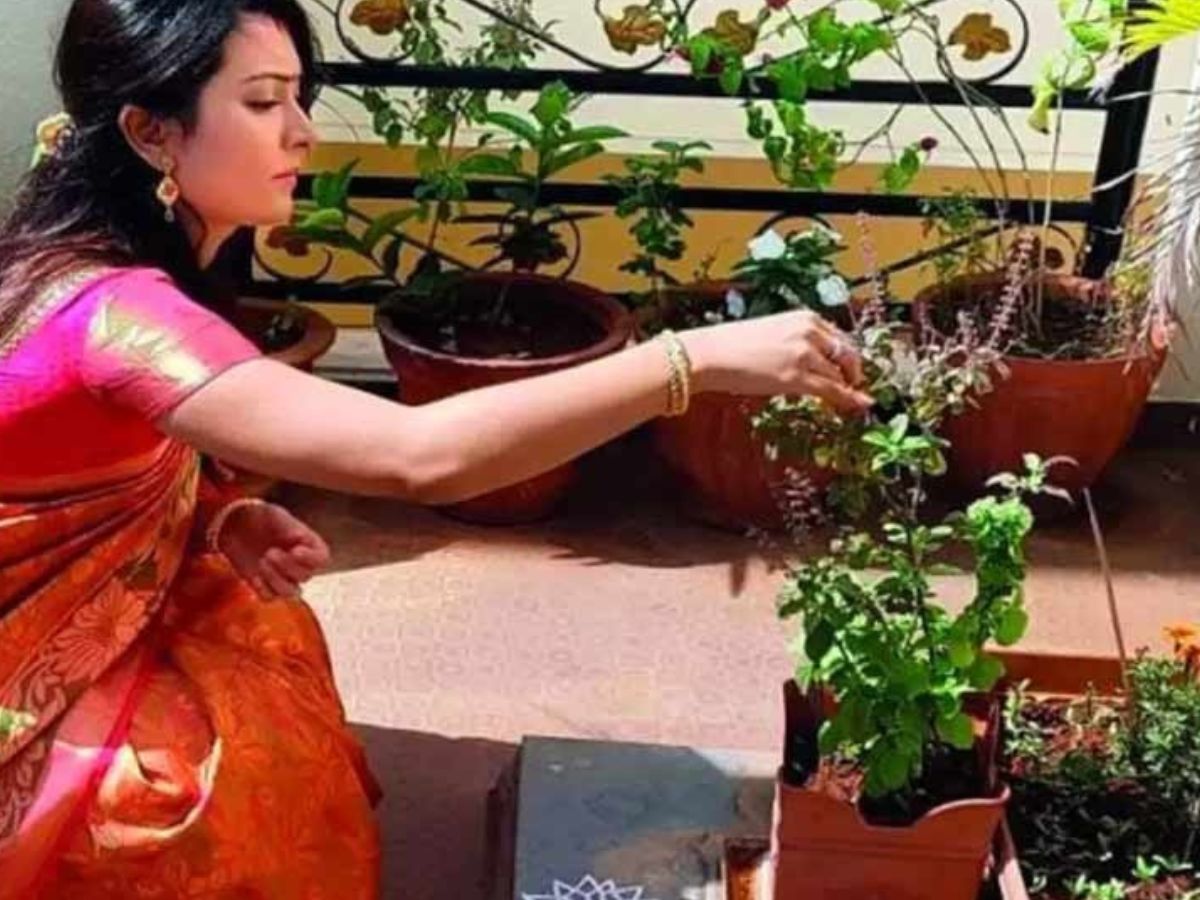 Sharad Purnima 2025: शरद पूर्णिमा पर तुलसी की पूजा के साथ करें ये उपाय, मां लक्ष्मी की बरसेगी कृपा - Photo Gallery