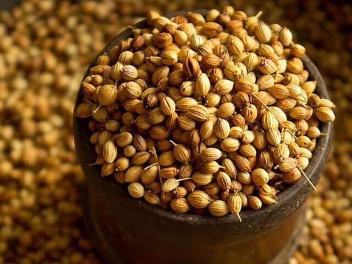 dhanteras-2025-spiritual-reason-behind-buying-brooms-and-coriander-seeds Dhanteras 2025: इस धनतेरस पर भूलें नहीं खरीदना झाड़ू और धनिया, जानिए इससे जुड़ी मान्यता