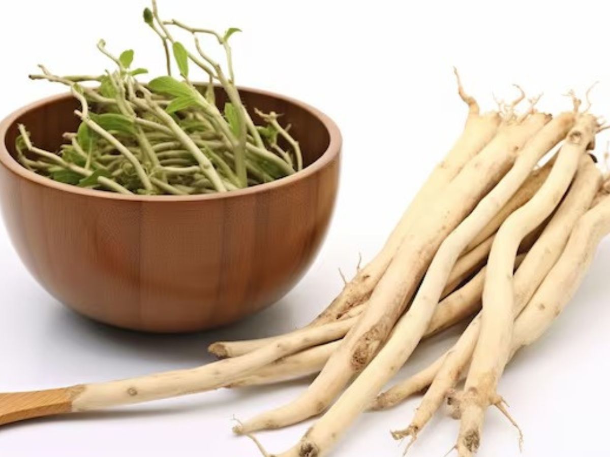 स्टेमिना और पावर में लग जाएगा बूस्टर, मर्दाना ताकत बढ़ाने के लिए खाकर देखें ये 4 चीजें! - Photo Gallery