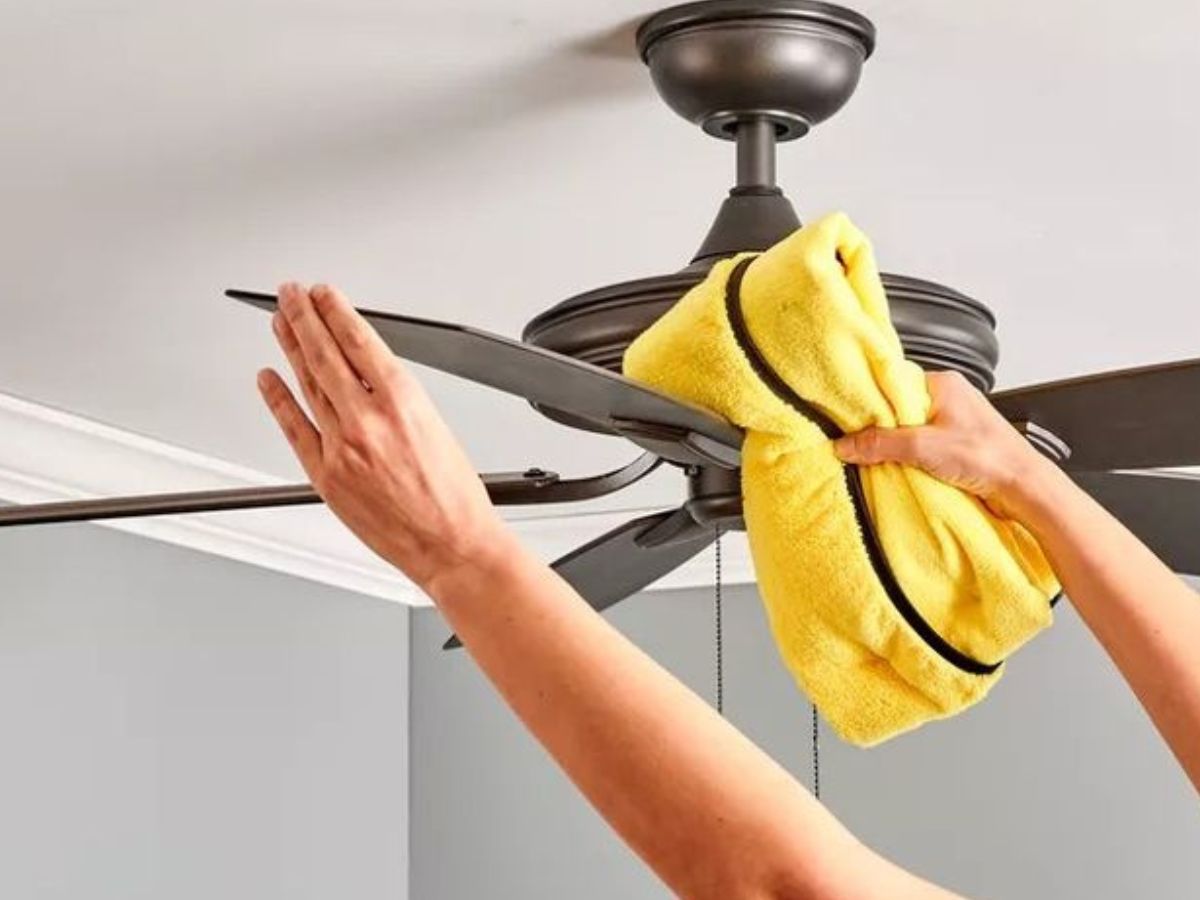 Clean the blade by covering it - Photo Gallery