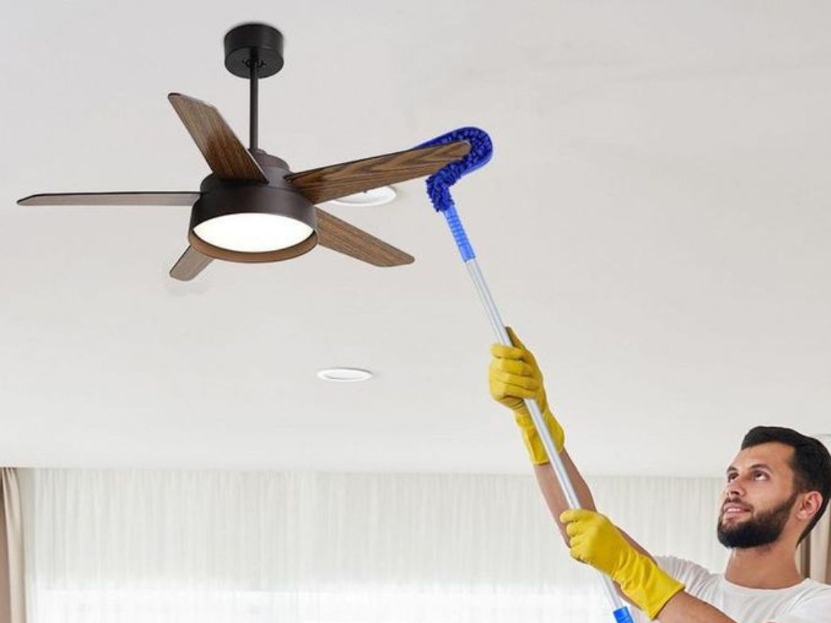 take advantage of the heat - Photo Gallery