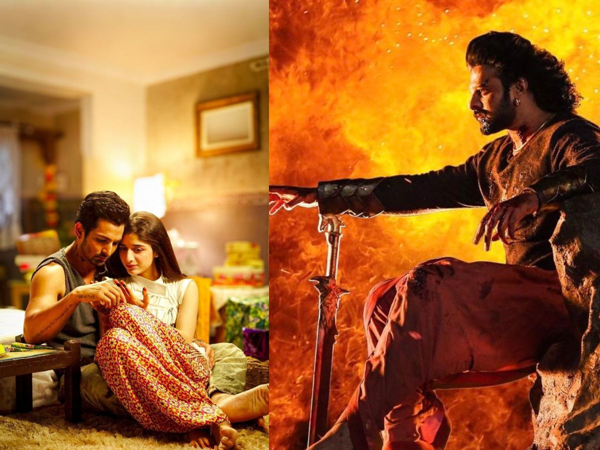 इस हिट फिल्म के क्रेज ने Sanam Teri Kasam की एडवांस बुकिंग का हर रिकॉर्ड तोड़ दिया! - Photo Gallery