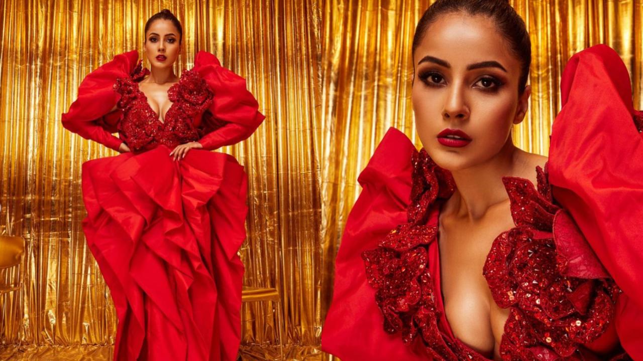 7116687shehnaazgill4