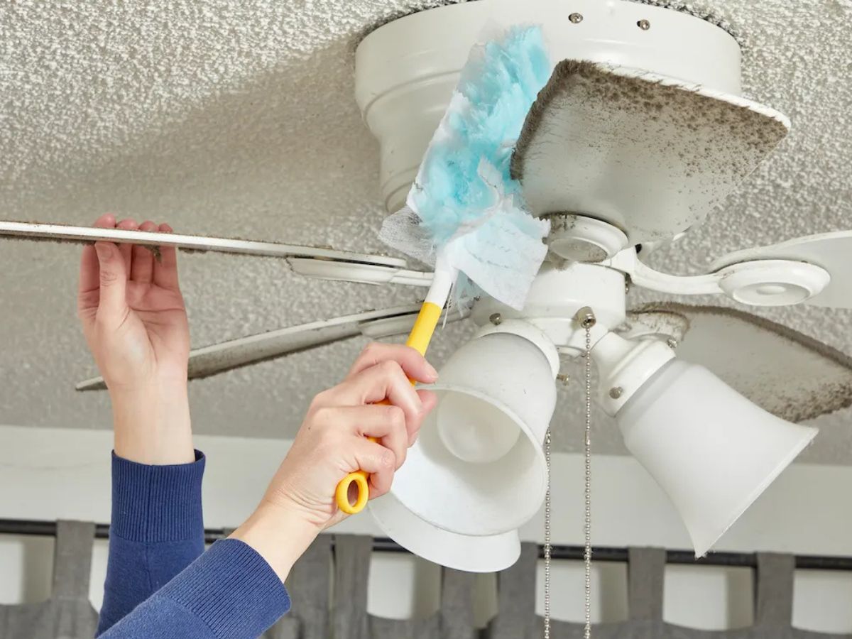 Use a vacuum cleaner - Photo Gallery