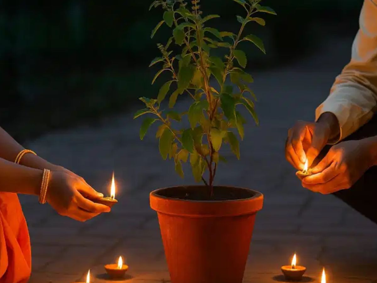 Sharad Purnima 2025: शरद पूर्णिमा पर तुलसी की पूजा के साथ करें ये उपाय, मां लक्ष्मी की बरसेगी कृपा - Photo Gallery