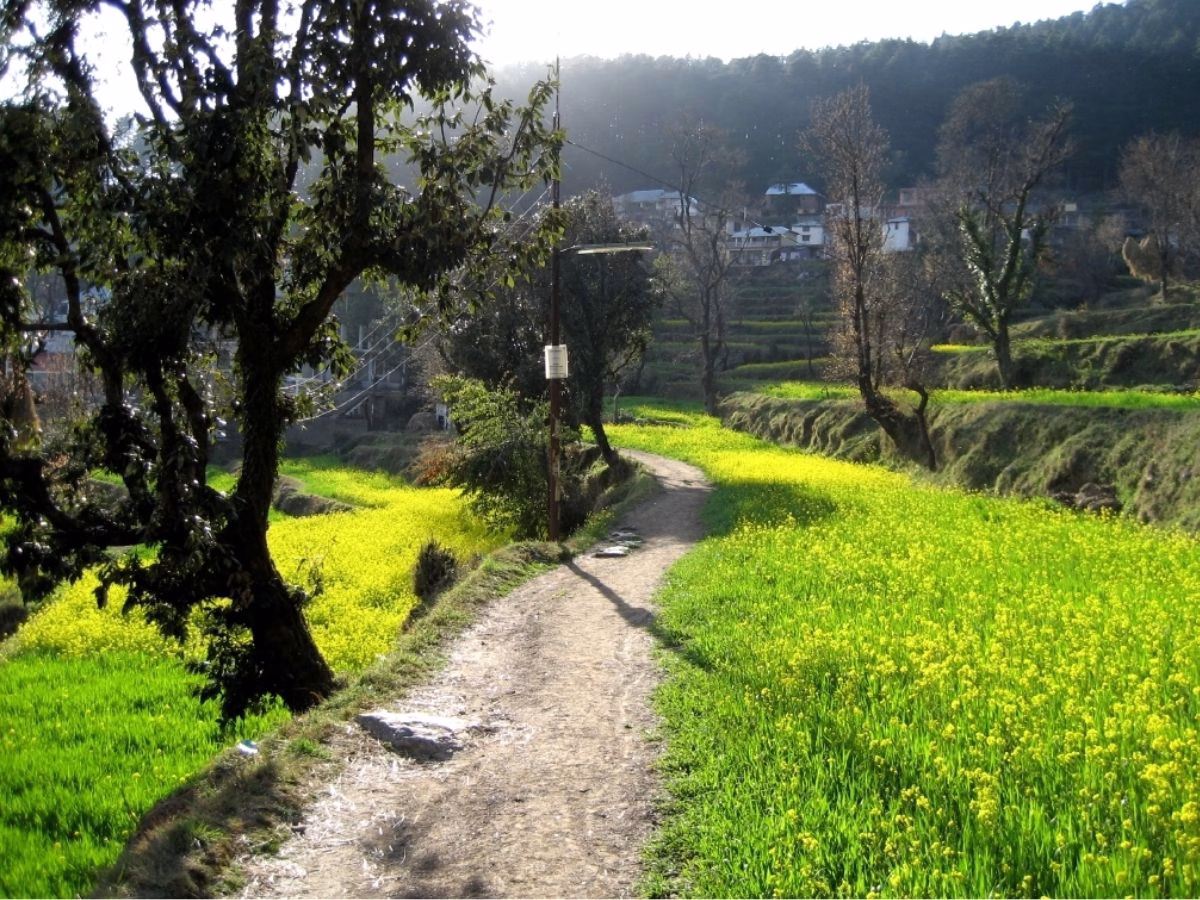 भारत में ही बसा Mini Israel, कम खर्चे में लें सकते हैं स्वर्ग से सुंदर जगह का मजा; एक-एक तस्वीर है खूबसूरती की गवाह - Photo Gallery