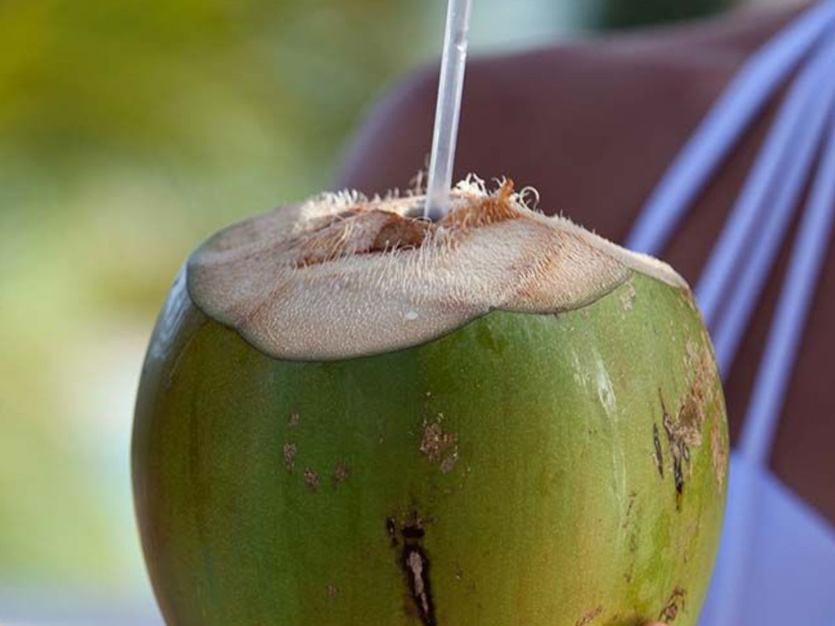 सप्लीमेंट्स पर पैसे मत उड़ाओ! ये 8 फूड्स हैं असली मैग्नीशियम पॉवरहाउस - Photo Gallery