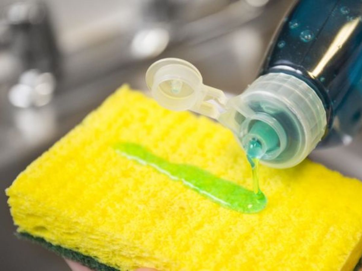 सिर्फ 5 मिनट में चमकेगा किचन का Exhaust Fan, जानें आसान ट्रिक - Photo Gallery