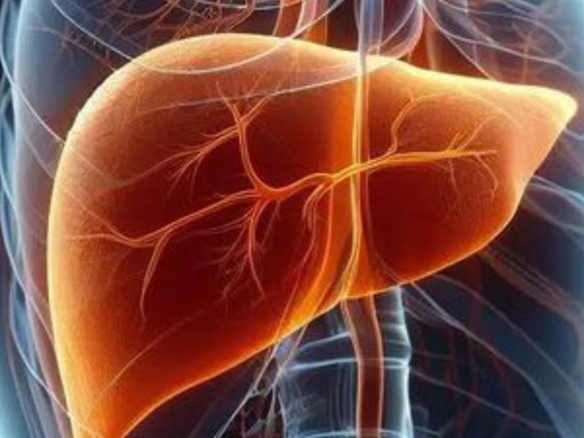 लिवर में चुपचाप जमा हो रहा है फैट! जानें 8 खतरनाक लक्षण जो शरीर पहले ही बता देता है - Photo Gallery