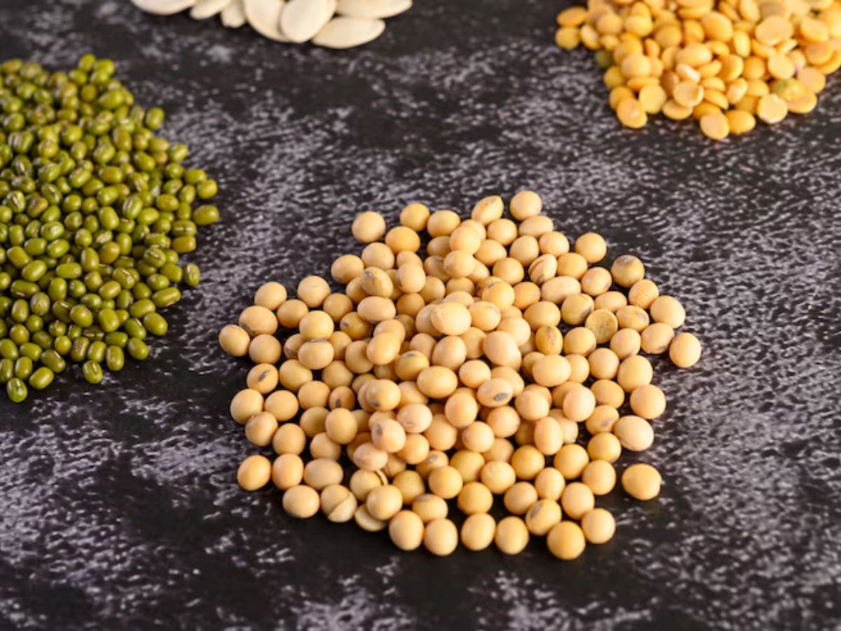 क्या सोयाबीन बना देगा नपुंसक? खाने से पहले जान लें सच - Photo Gallery