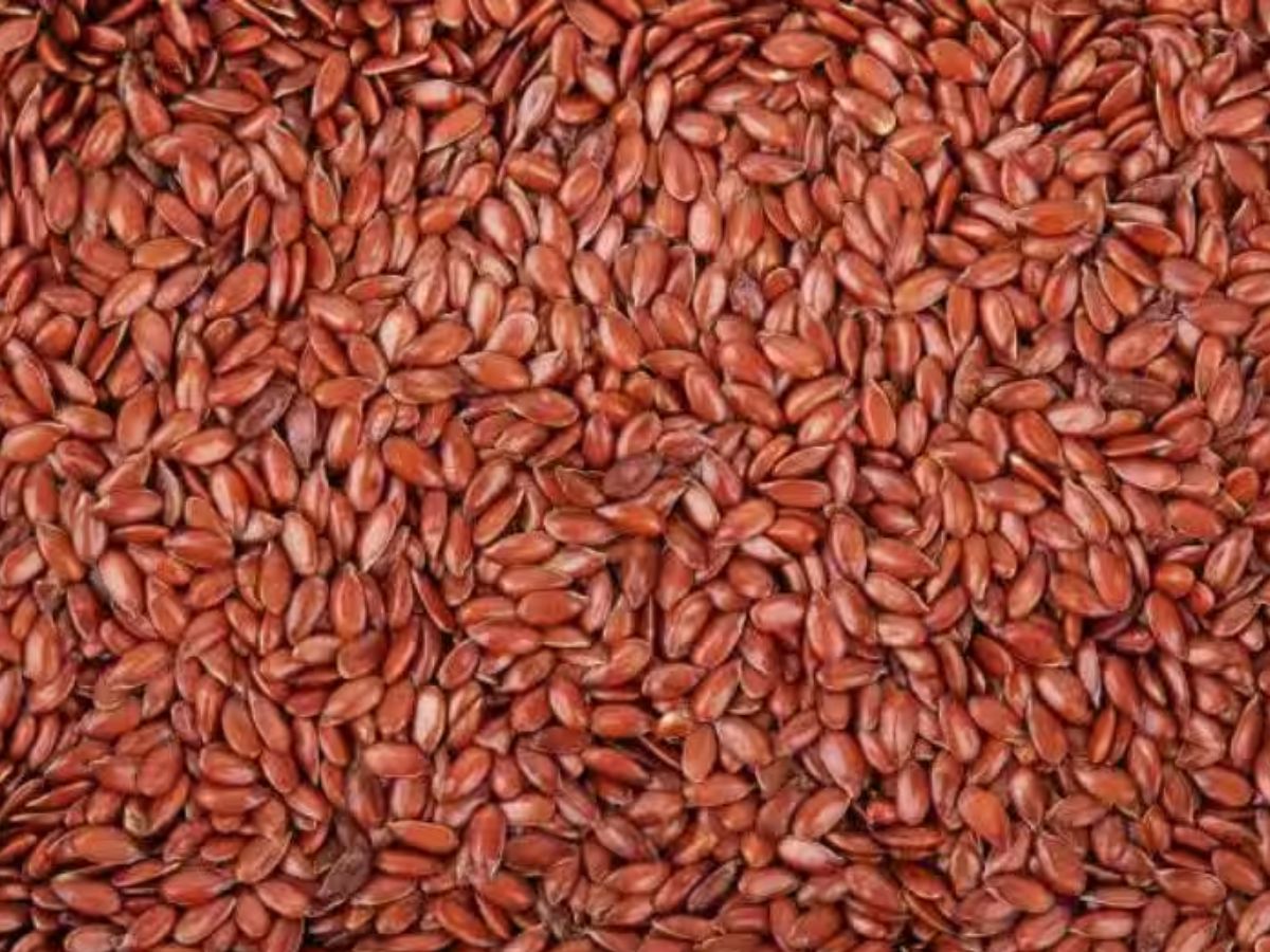 बिस्तर पर मिनटों में ही हांफने लगते हैं? ये 3 बीज बढ़ाएंगे अंदर की ताकत, नहीं होगी थकान