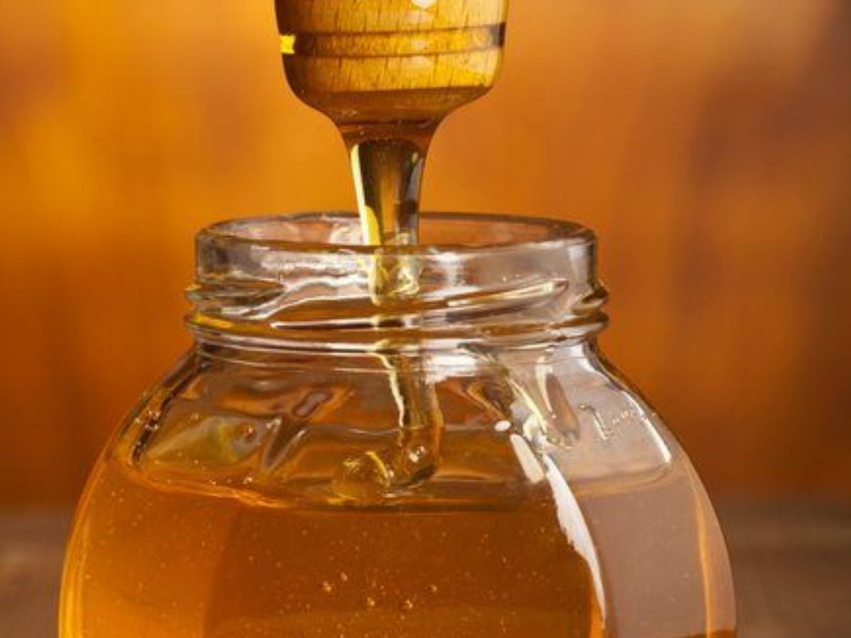 जानिए वो 8 सुपरफूड्स जो सर्दियों में आपकी इम्यूनिटी बढ़ाएंगे और बीमारियों से बचाएंगे - Photo Gallery