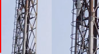 हाईवोल्टेज ड्रामा! शोले के ‘वीरू’ के तरह टॉवर पर चढ़ी लड़की, वजह जान पैरों तले खिसक जाएगी जमीन