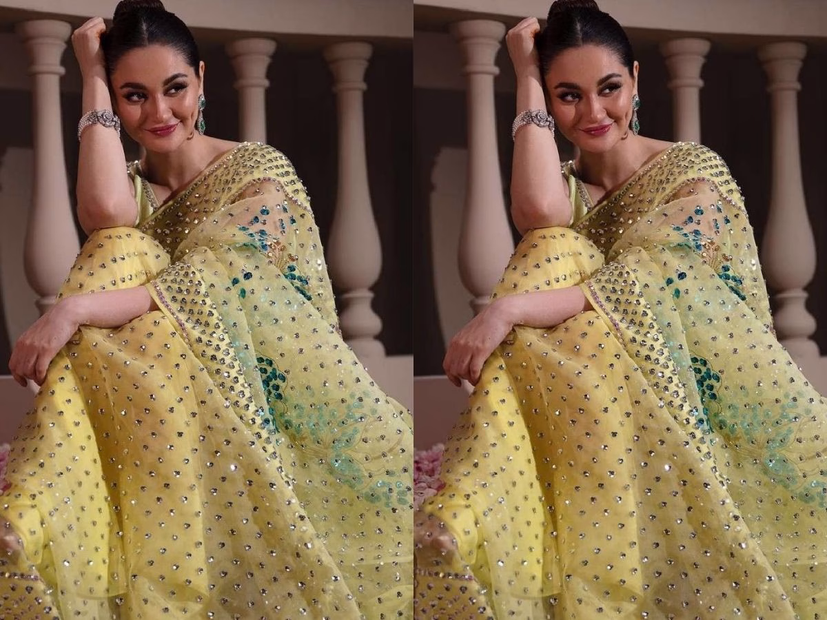 दिवाली पर बिखरना चाहती हैं अपना जलवा, तो Hania Aamir के साड़ी लुक से लें टिप्स; जमकर होगी तारीफ - Photo Gallery