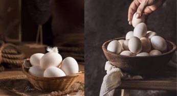 शाकाहारी लोग अंडा क्यों नहीं खाते? वजह जानकर आप भी सोच में पड़ जाएंगे