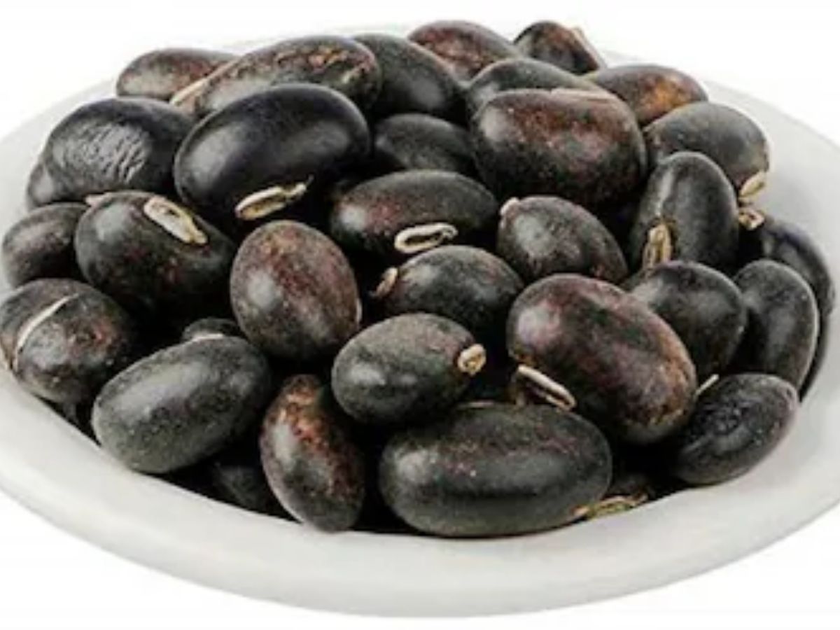 शिलाजीत की भी बाप हैं ये आयुर्वेदिक चीजें, मर्दों के थके-हारे शरीर में भर सकती हैं घोड़े जैसी फुर्ती! - Photo Gallery