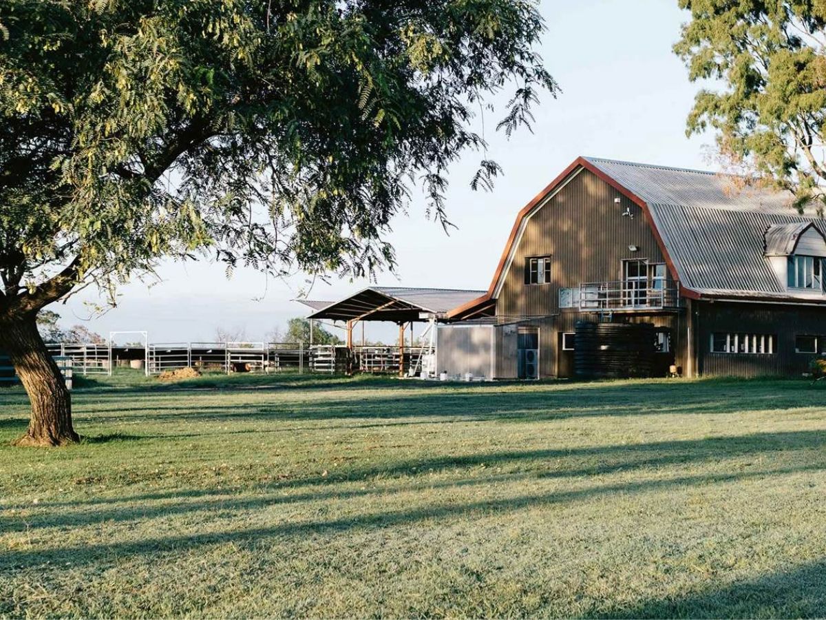 Dhanteras 2025: अगर इस धनतेरस ये खरीदारी नहीं की तो पछताएंगे, इन चीजों से घर में खुशहाली की गारंटी! - Photo Gallery