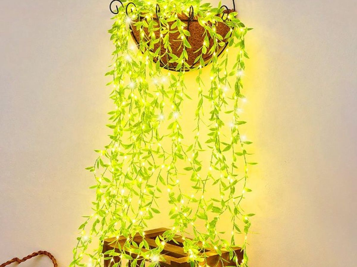 Diwali business ideas 2025: घरेलू महिलाएं भी कर सकती हैं शुरू, दिवाली में बिकेगी ये चीज हाथों-हाथ - Photo Gallery