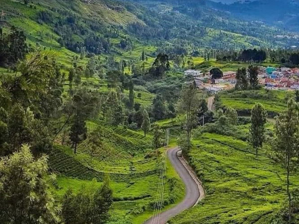 पैसे की टेंशन छोड़िए! सर्दियों में घूमिए भारत की इन 8 सस्ती और सुंदर जगहों पर - Photo Gallery