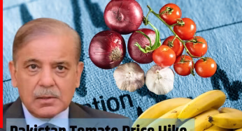 OYO रूम के किराए से भी महंगा हुआ 1kg टमाटर? पाकिस्तानियों की औकात से बाहर हुआ लहसुन, केला और प्याज