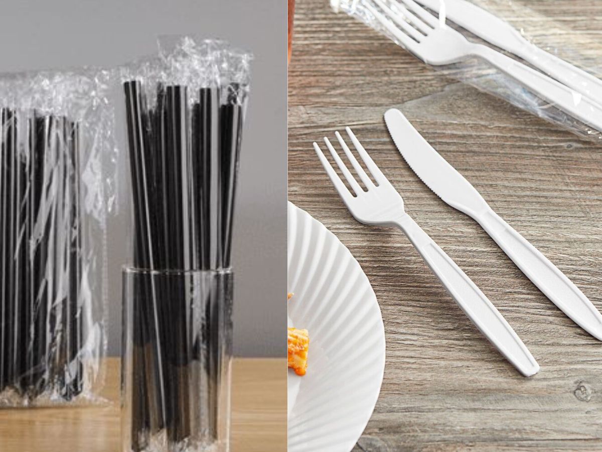Plastic straws and cutlery - Photo Gallery