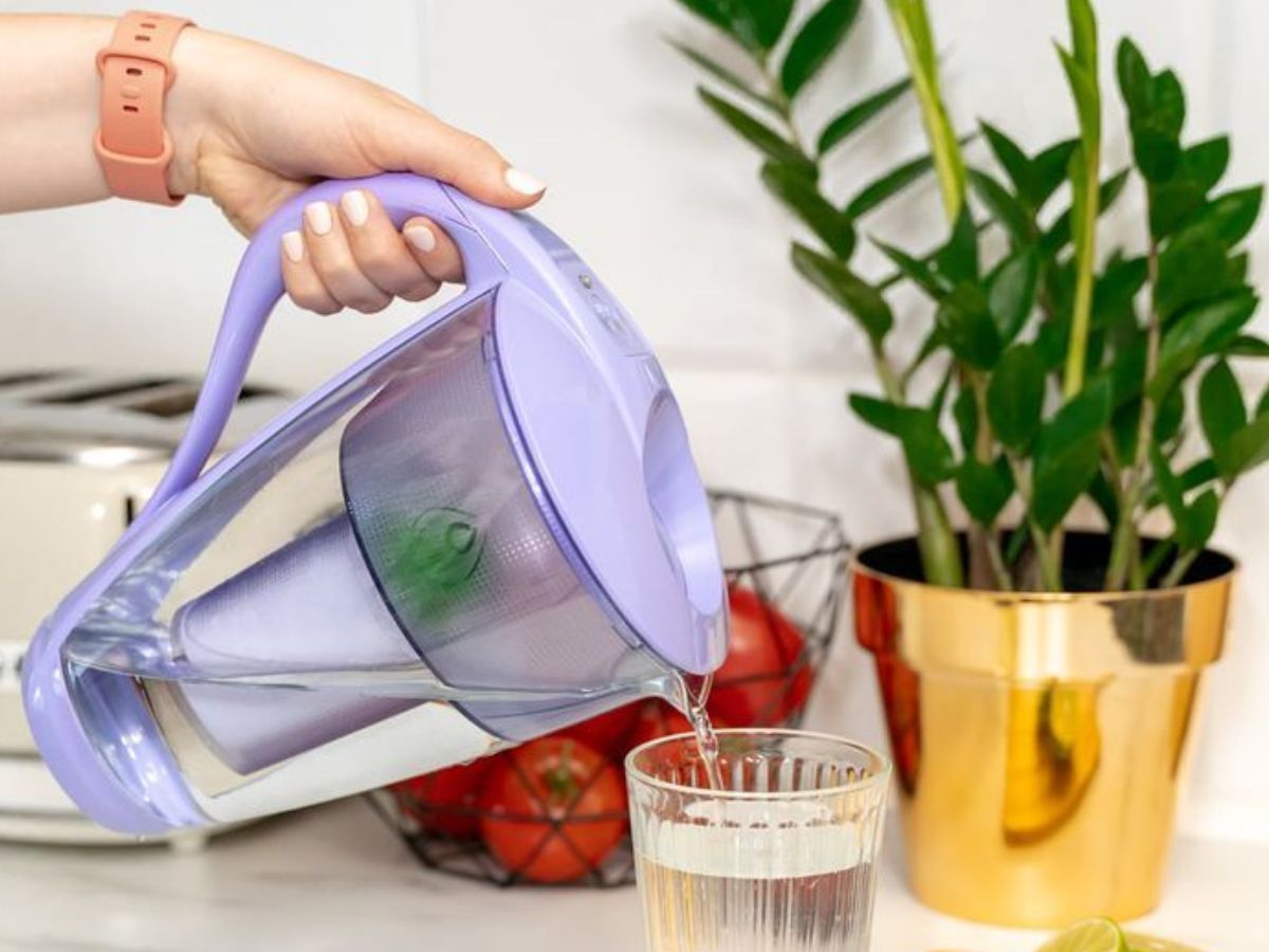 किचन में रखी ये आम चीजें कर रही हैं आपके शरीर को नुकसान – आज ही हटाइए! - Photo Gallery