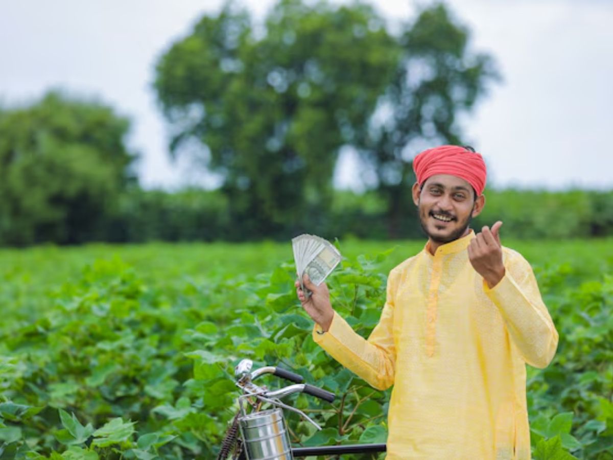 PM Kisan 21st Installment: इंतेहा हो गई इंतजार की! क्या अभी तक नहीं आई किसान सम्मान निधि की 21वीं किस्त, बस कर लें ये रूल फॉलो - Photo Gallery