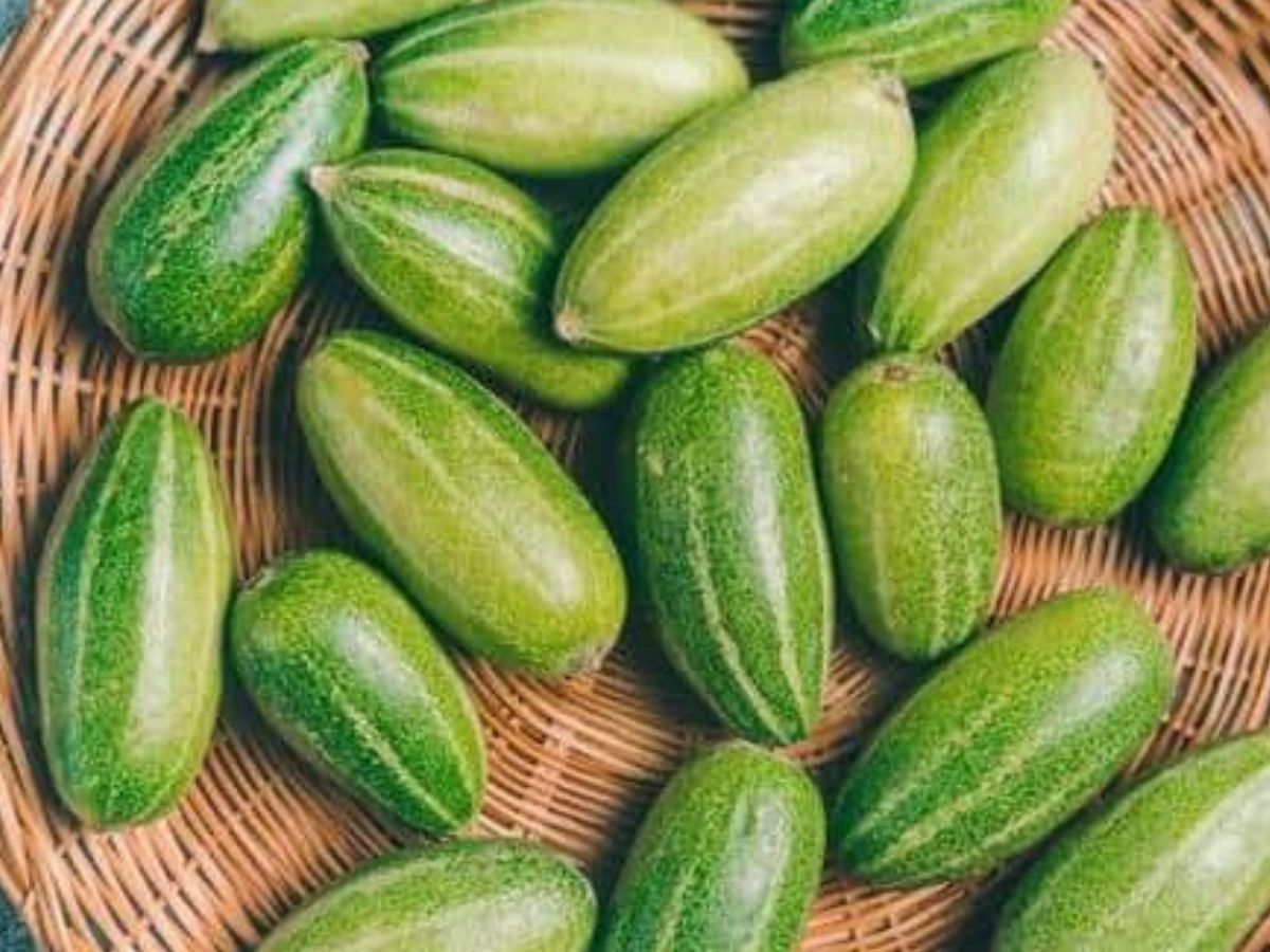 इन सब्जियों में जीरा डालकर बिगाड़ देते हैं स्वाद! जानिए सही तड़का क्या है - Photo Gallery