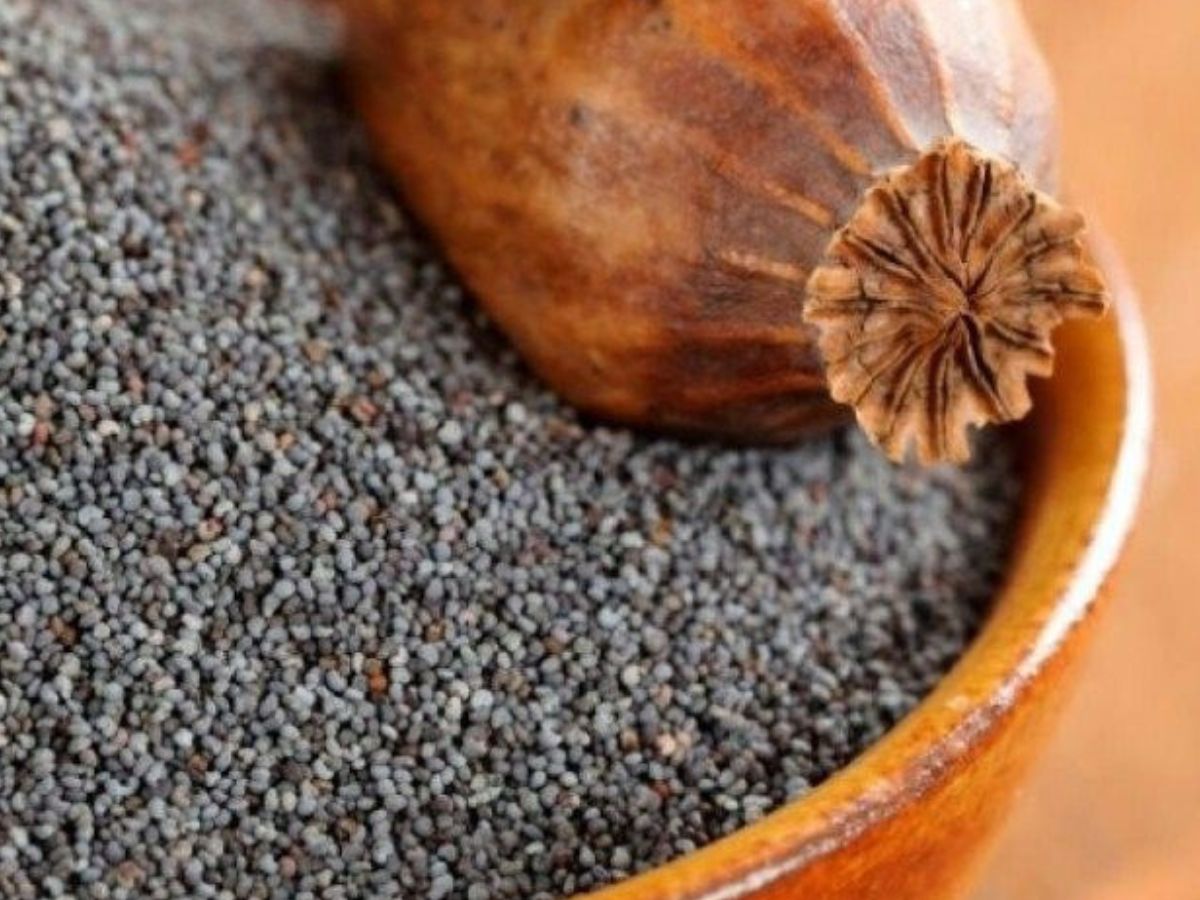 50 की उम्र के बाद भूलकर भी न खाएं ये बीज, वरना बिगड़ सकती है सेहत - Photo Gallery