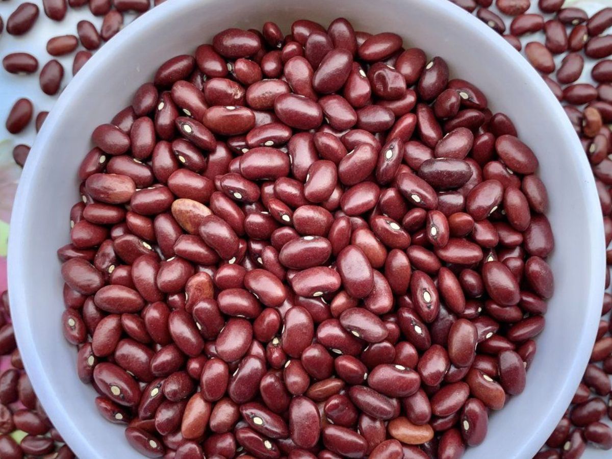 सप्लीमेंट्स पर पैसे मत उड़ाओ! ये 8 फूड्स हैं असली मैग्नीशियम पॉवरहाउस - Photo Gallery